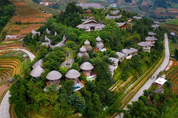 Garrya Mu Cang Chai